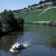 Neckar mit Motorboot bei Hessigheim, 1997 