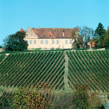 Schloss Stettenfels bei Untergruppenbach 1997