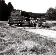 Getreideernte bei Holzelfingen: Abtanken 1970
