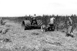 Hanfernte mit einem Holzvergaser-Traktor, Buchau, 1951