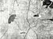 Kiesersche Forstkarte Nr. 11 aus dem Kirchheimer Forst: Bonlanden von 1683