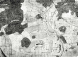 Kiesersche Forstkarte Nr. 27 aus dem Kirchheimer Forst: Groß-Bettlingen von 1683