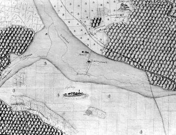 Kiesersche Forstkarte Nr. 99 aus dem Stromberger Forst: Freudenthal von 1684