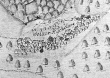 Weiller Aychelberg (Aichelberg) - Ansicht aus der Kieserschen Forstkarte Nr. 24 von 1683