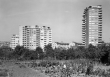 Stuttgart-Zuffenhausen: Stadtteil Rot 1959