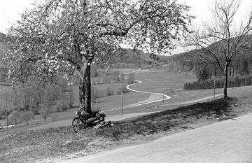 Oberrot: Rot-Tal oberhalb von Buchhof 1947