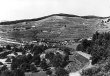 Vogtsburg-Bickensohl: Haufendorf, Rebterrassen und Streuobstwiesen um 1935