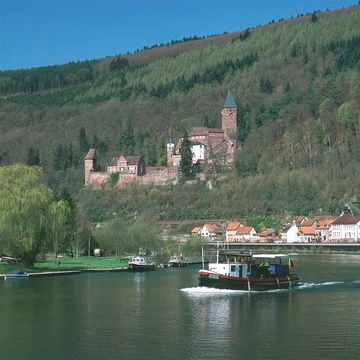 Burg Zwingenberg über dem Neckar, 2003