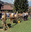Schönau im Schwarzwald: Viehversteigerung, 1991