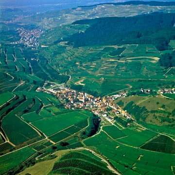 Vogtsburg-Schelingen, Luftbild 1980