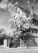 Stuttgart-Zuffenhausen: Pfarrhaus 1934