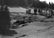 Stammholz am Einbildplatz Nähe Calw um 1920