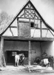 Schmiedewerkstätte Wasner in Gutenzell: Schmied beim Beschlagen eines Pferdes 1952