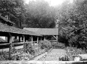 Hayingen: Vor der Wimsener Höhle 1925