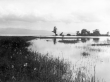 Kressbronn am Bodensee: Streuwiesen bei sehr hohem Wasserstand überschwemmt 1926