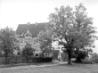 Herbrechtingen- Anhausen:Kloster mit Linden 1926