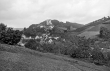 Alpirsbach- Berneck: Blick zum Schloss 1910