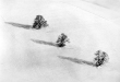 Drei Bäume auf schneebedecktem Feld 1983