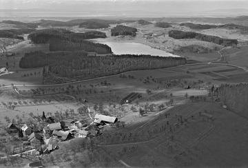 Drumlinlandschaft bei Lindau - Luftbild 1959