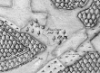 Altersberger Höff (Altersberg) - Ansicht aus der Kieserschen Forstkarte Nr. 123 von 1685