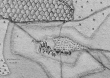 Kottweil bei Berglen 1685 - Ausschnitt aus der Kieserschen Forstkarte Nr. 151 - Reichenberger Forst