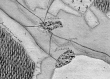 Bartenbach und Schleißweiler: Ansicht aus der Kieserschen Forstkarte Nr. 132 von 1685