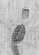 Kiesersche Forstkarte Nr. 175 aus dem Leonberger Forst: Münchingen von 1682 