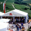 Weinfest im Gewann Zweifelberg in Brackenheim-Neipperg 2000
