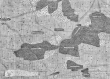 Kiesersche Forstkarte Nr. 166 aus dem Leonberger Forst: Hemmingen von 1682