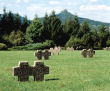KZ - Friedhof bei Bisingen / Hechingen 1999
