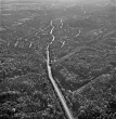 Stuttgart- Süd: Böblingerstraße Richtung Kaltental, Luftbild 1953