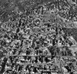 Stuttgart- West: Luftbild 1953
