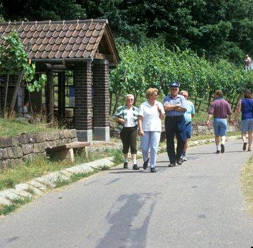 Spaziergänger in den Weinbergen "Zweifelberg" bei Brackenheim 1999