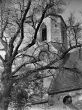 Weinstadt-Beutelsbach: Herbstmotiv mit Kirchturm 1952