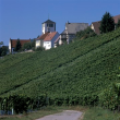 Sachsenheim-Hohenhaslach 2001