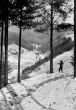 Winterliches Tal beim Holzwald am Kniebis 1927
