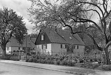 Stuttgart-Neuwirtshaus: Siedlungshäuser am Wald 1938 
