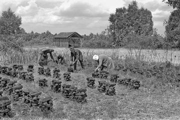 Torfgewinnung im Pfrunger Ried, Illmensee 1962
