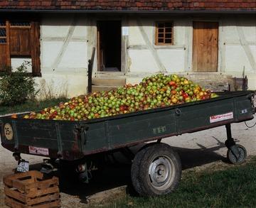 Freilichtmuseum Beuren: Anhänger mit Äpfeln 2001