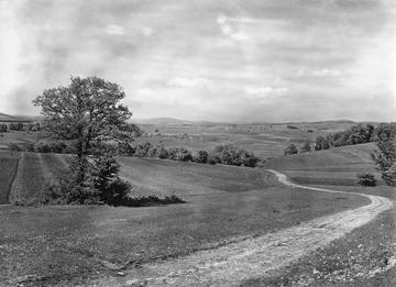 Feldweg und Landschaft im Spital bei Trailfingen 1931