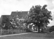 Herbrechtingen-Anhausen: Klosterhof mit Eiche 1936