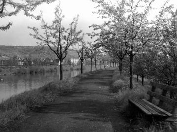 Stuttgart: Neckarkanal bei Obertürkheim 1937