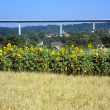 Jagsttalbrücke bei Widdern mit Sonnenblumenfeld 2002