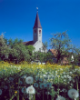 Oberjesingen: Kirche im Frühling 1982