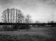 Wolpertswende: Am Schreckensee, Straßenseite mit Halbinsel 1939