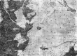 Kiesersche Forstkarte Nr. 208 aus dem Tübinger und Bebenhauser Forst: Entringen von 1683