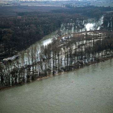 Überschwemmte Auwälder am Rhein, Luftbild, 1980