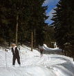 Skilanglauf nahe der Schwarzwaldhochstraße, 1984