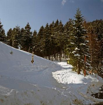 Verschneiter Hang und Wald nahe der Schwarzwaldhochstraße, 1984