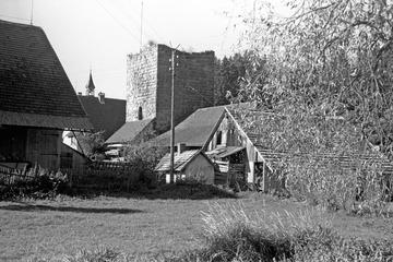 Buchenberg: Ruine Waldau, 1949